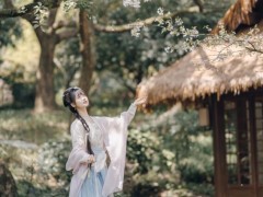 定焦鏡頭拍什么