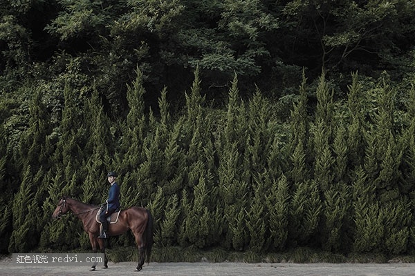 CHINA LIFE 生活 | Horse year